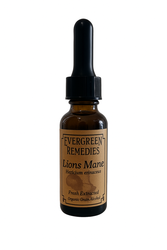 Fresh Lions Mane Extract