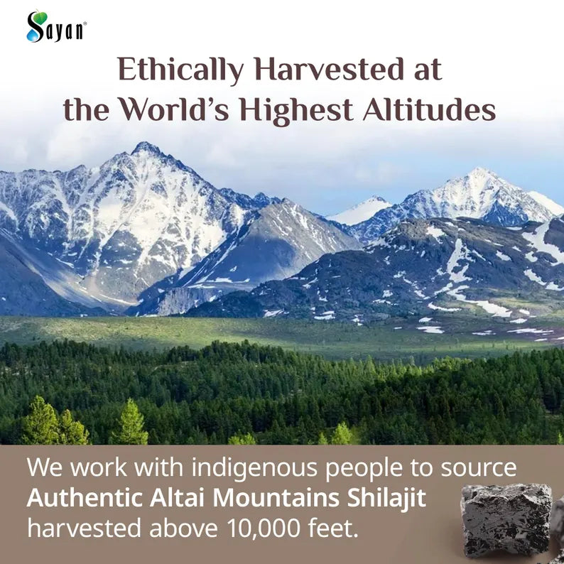 Gold Graded Himalayan Shilajit