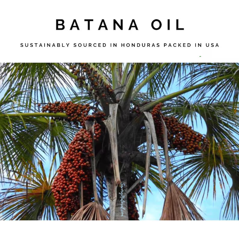 100% Natural Batana Oil (Sourced From Honduras)